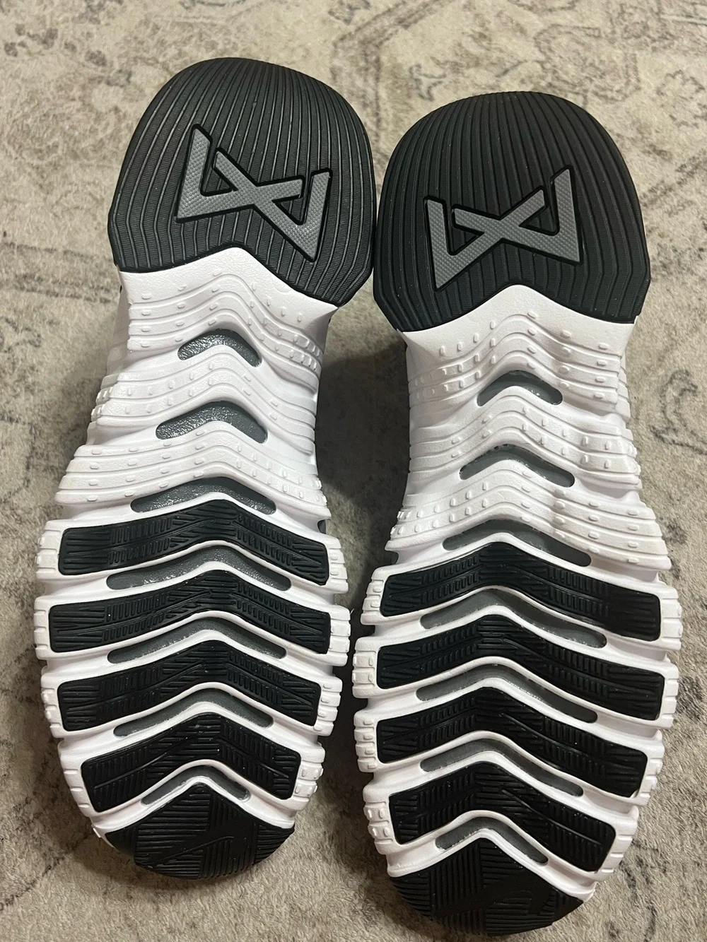 the Nike Free Metcon 5 